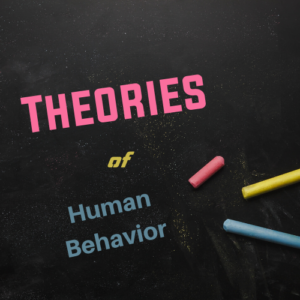 Theories of Human Behavior