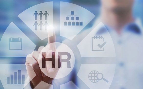 HR Strategy Development for a Small Company